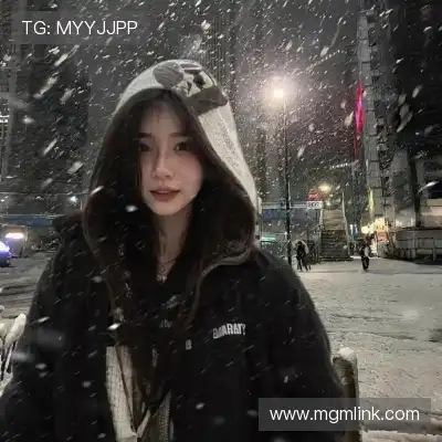 萧琼嘉